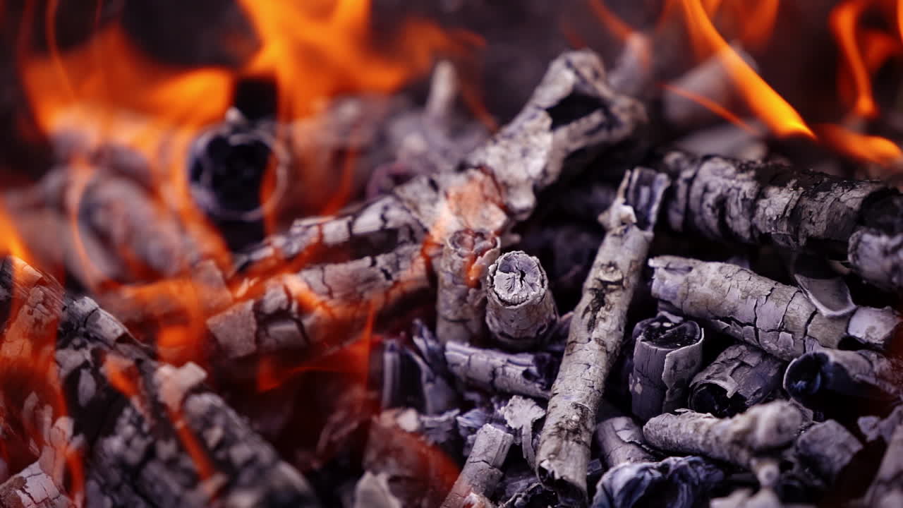 Bonfire burning at night. Campfire burns on nature. Flames of fire. Shimmering red glow. Power of fire. Video.