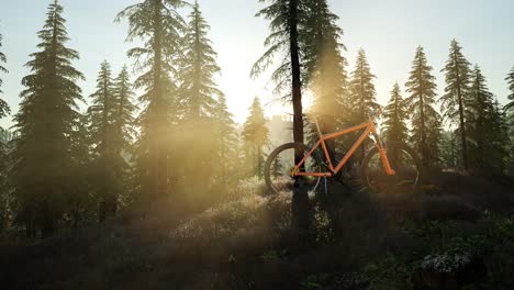 Bicicleta-En-Bosque-De-Montaña