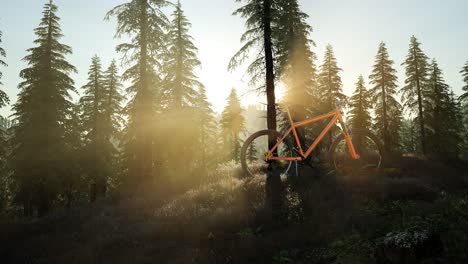 bicicleta en el bosque de montaña