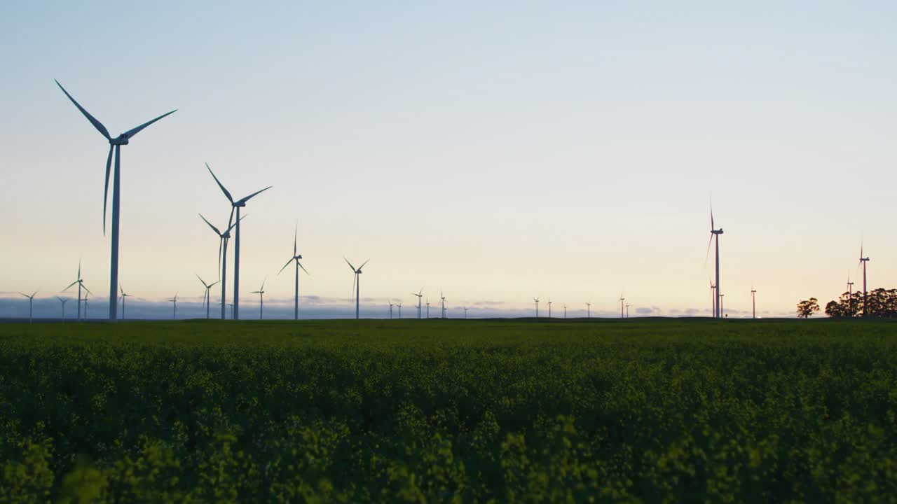 turbinas eólicas en un paisaje rural con cielo sin nubes al atardecer