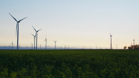 Wind-turbines-in-countryside-landscape-with-cloudless-sky-at-sunset