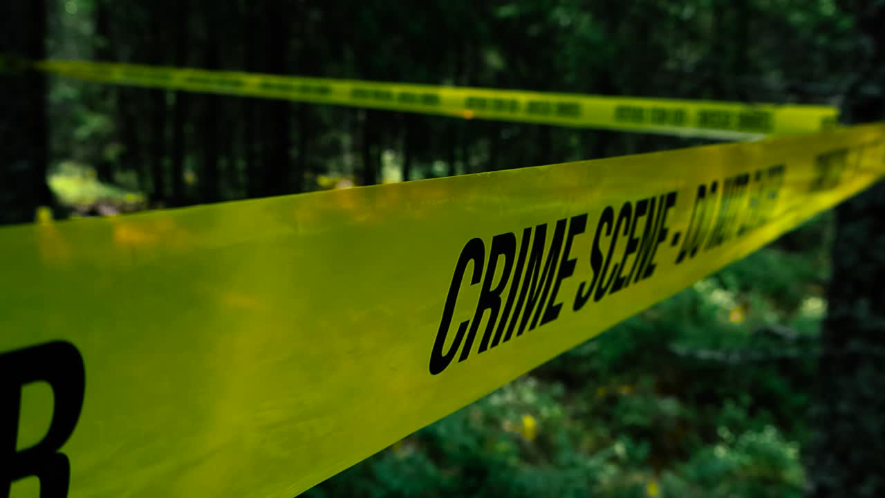 Scary and dark close up or closeup footage of yellow colored Crime Scene Do Not Enter ribbon tape pulled infront of a forest area where a crime has happened. Ribbon is moving in wind background blurry
