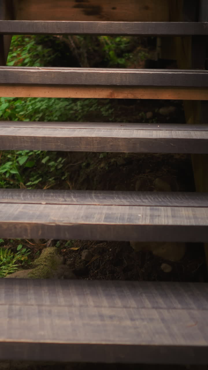 Wooden stairs serve as access way for guests to house. Surrounded by thick forest abundant with greenery stairs facilitating both ascent and descent for visitors