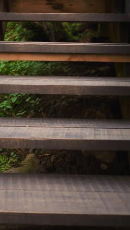 las escaleras de madera sirven como vía de acceso para los huéspedes a la casa, rodeada de un denso bosque abundante con escaleras de vegetación que facilitan tanto el ascenso como el descenso para los visitantes.
