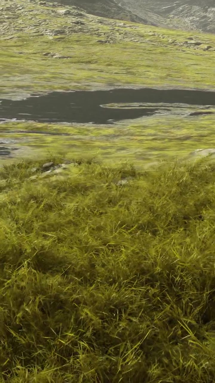 Erba verde e acqua calma in un paesaggio naturale con montagne