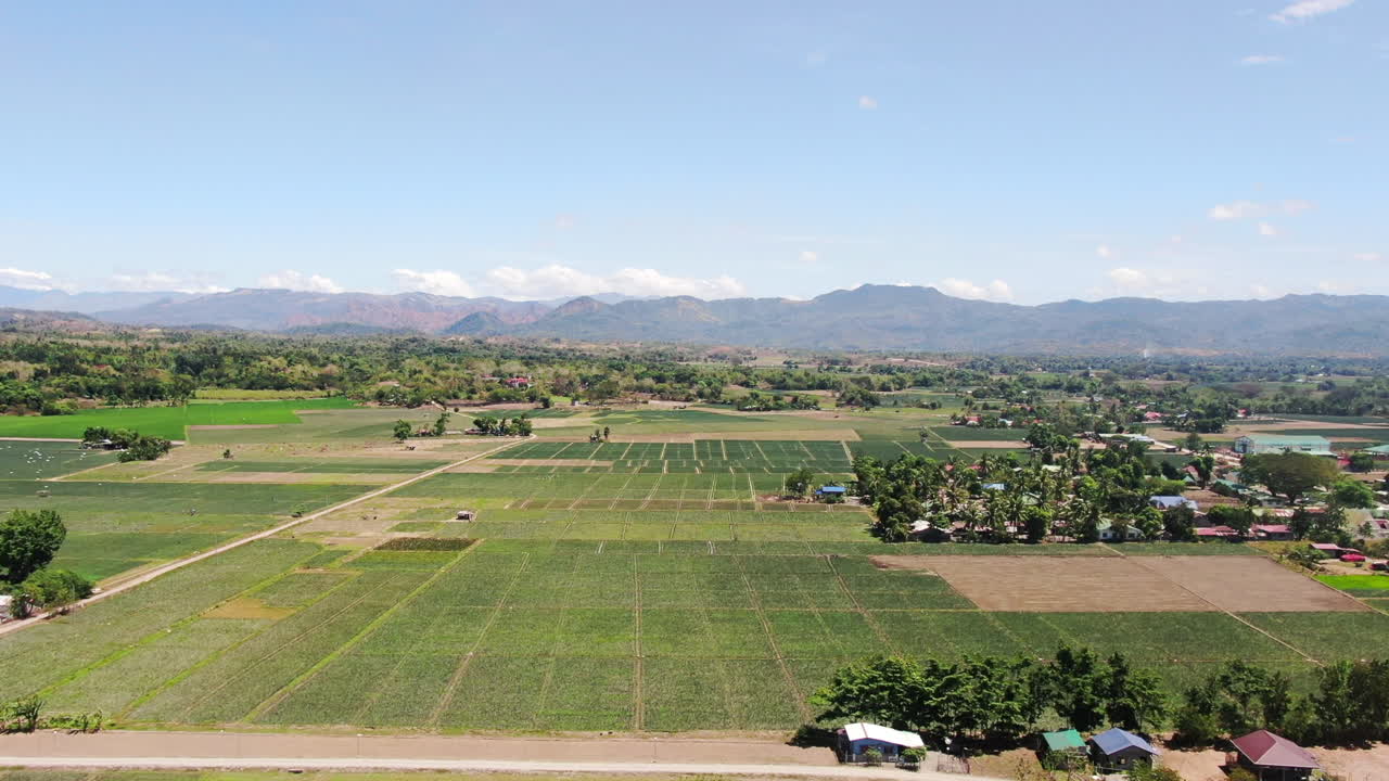 vista aérea de amplio campo verde, casas, árboles y montaña con cielo despejado durante el día en calidad 4k
