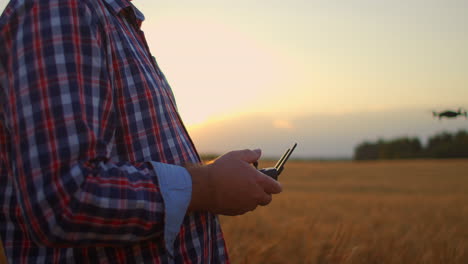 An-elderly-male-farmer-in-a-cap-drives-a-drone-over-a-field-of-wheat-at-sunset.-Old-farmer-uses-drone-in-agriculture