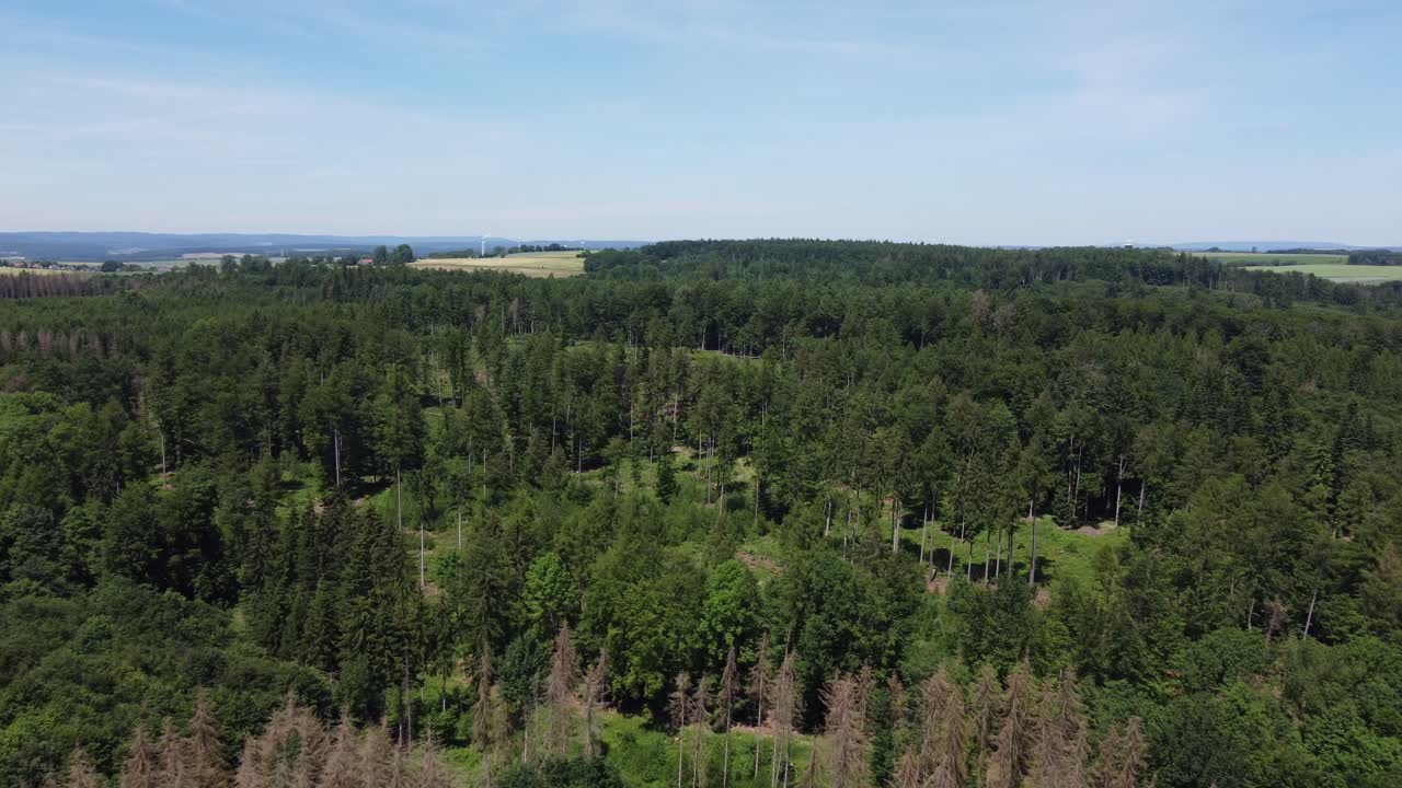 fligh over a forest dieback