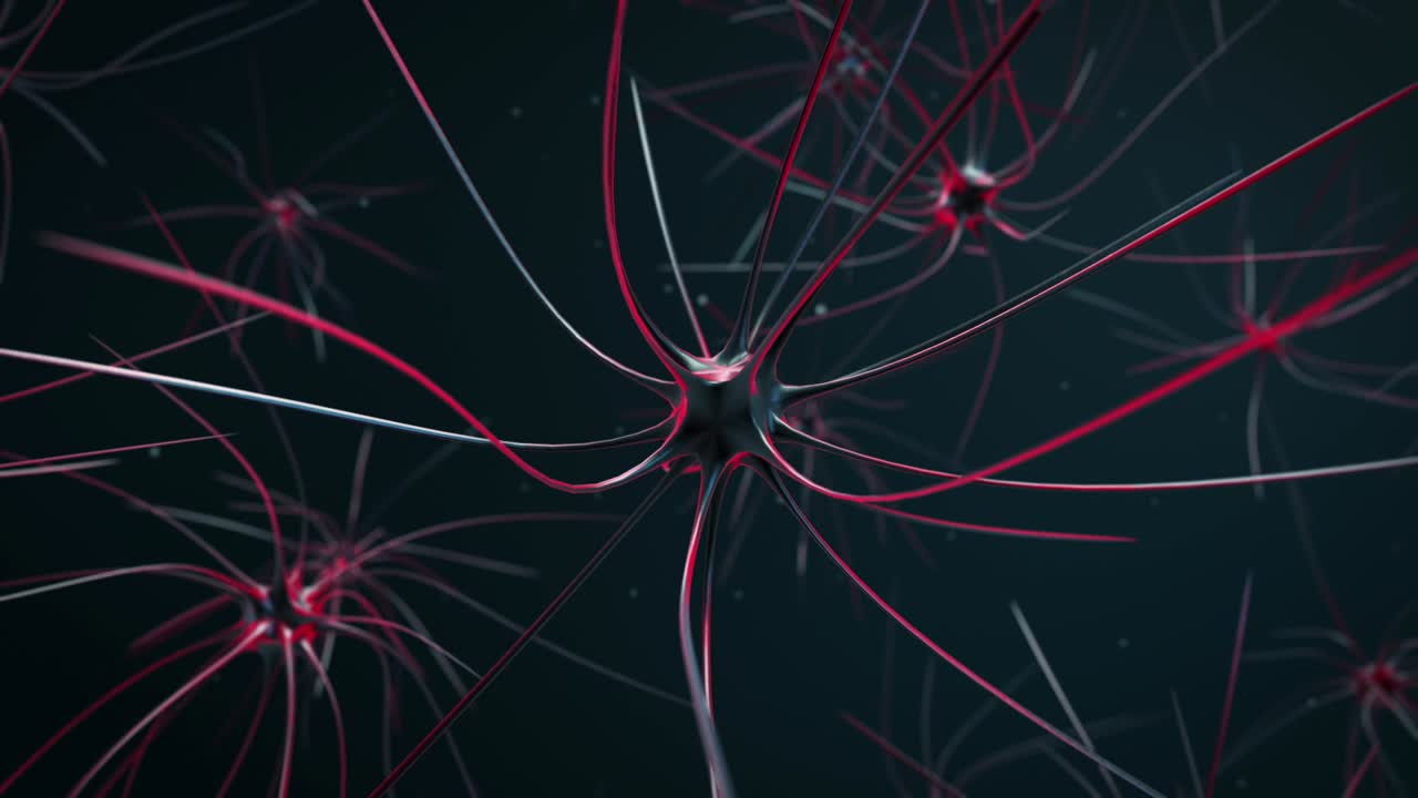 Neural Network Visualization