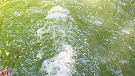 rippling water surface at khao kheow zoo