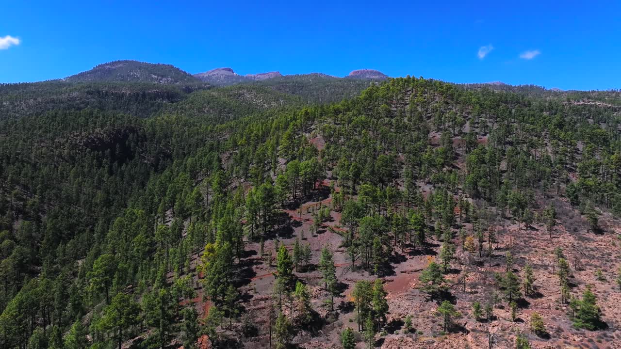 Aerial view of Mohino mountain with lush green pine trees and clear sky