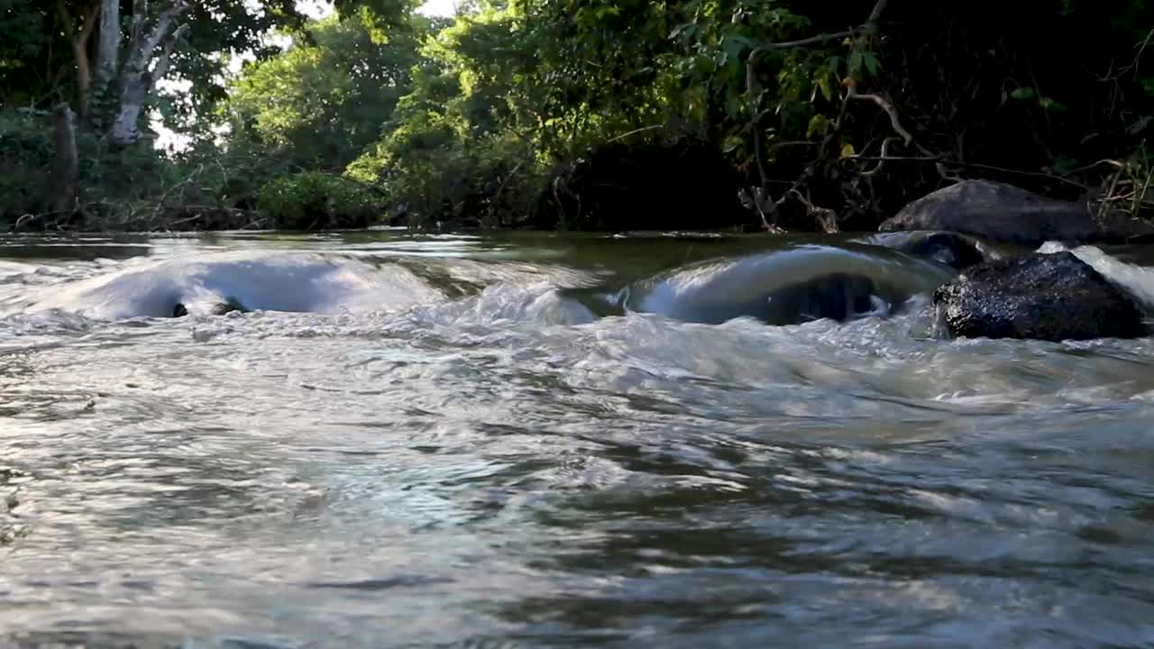 Small beautiful river in the middle of the forest in Brazil