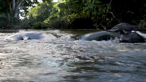 small beautiful river in the middle of the forest in brazil