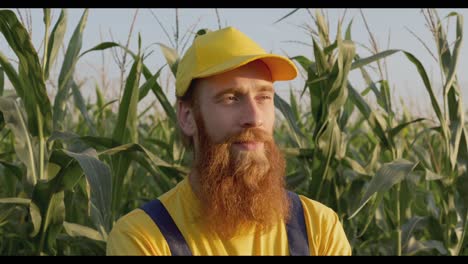 agricultor en el campo de maíz