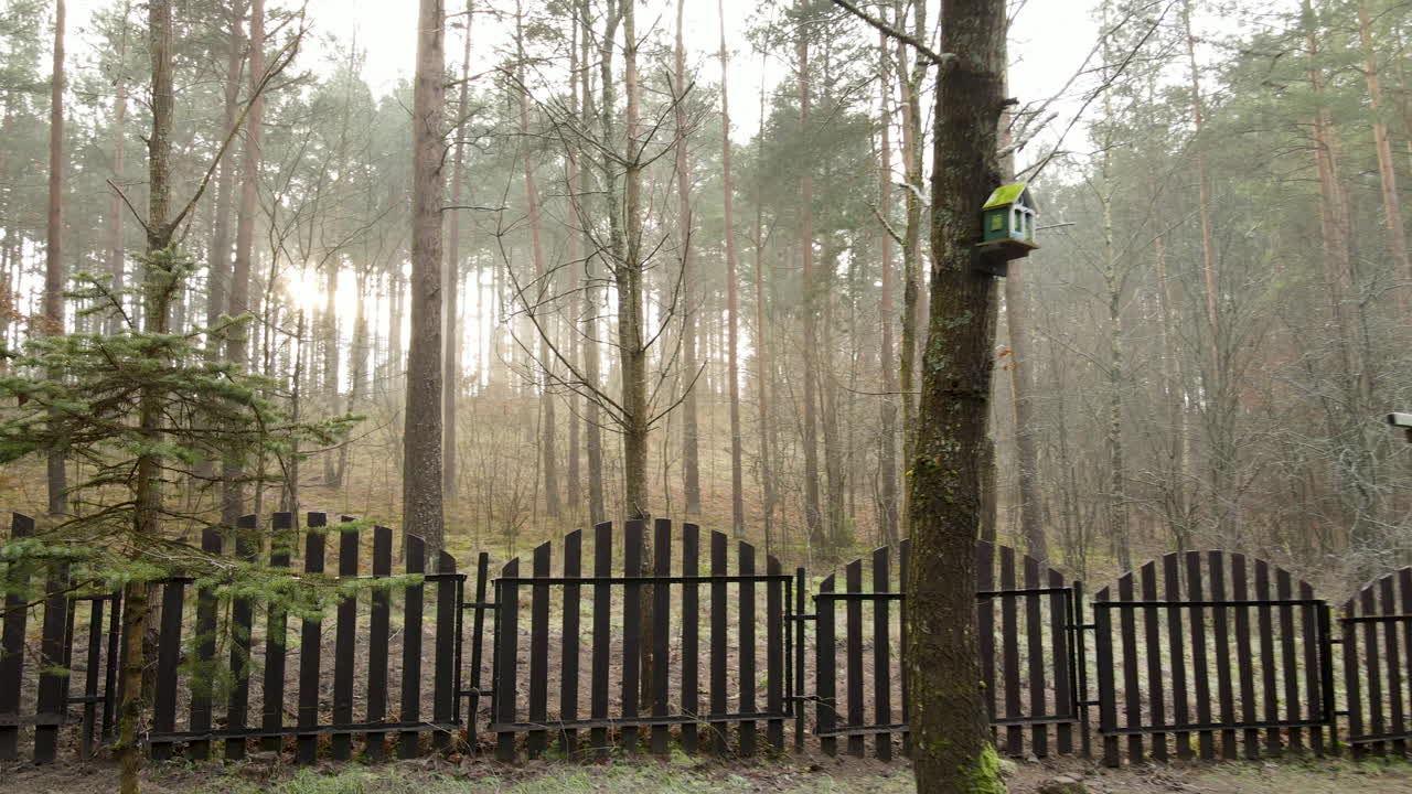 Lento rientro dalla recinzione in legno del cortile della vecchia casa tradizionale polacca nella foresta, villaggio Bartoszylas