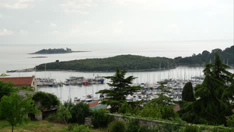 Una-Multitud-De-Diferentes-Barcos-Amarrados-En-El-Puerto-Deportivo-De-Vrsar.