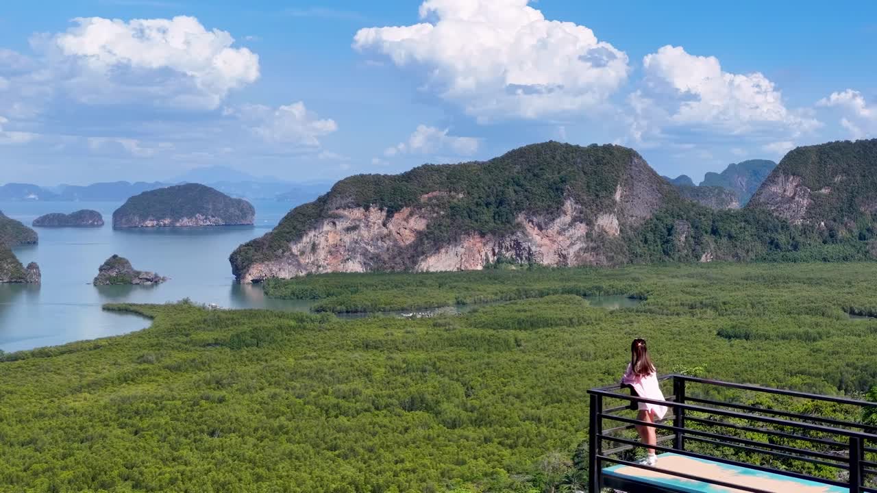 A panoramic view of verdant mangroves and rugged islands under a bright blue sky, with a lone observer.