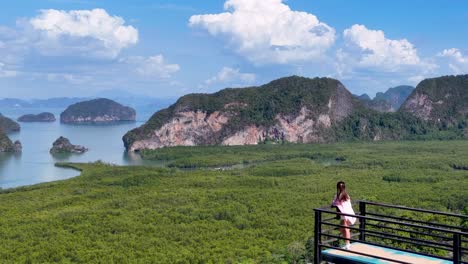 a panoramic view of verdant mangroves and rugged islands under a bright blue sky, with a lone observer.