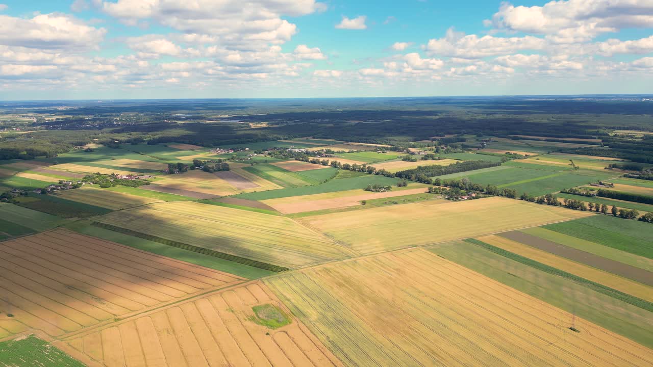 Aerial view with the landscape geometry texture of a lot of agriculture fields with different plants like rapeseed in blooming season and green wheat