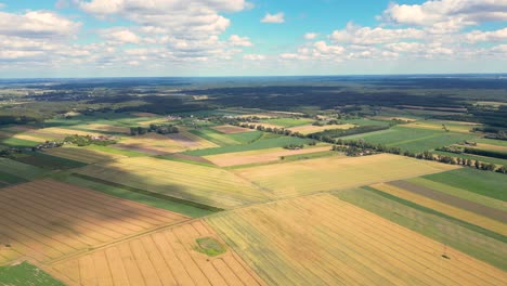 Luftaufnahme-Mit-Der-Landschaftsgeometriestruktur-Vieler-Landwirtschaftlicher-Felder-Mit-Verschiedenen-Pflanzen-Wie-Raps-In-Der-Blütezeit-Und-Grünem-Weizen