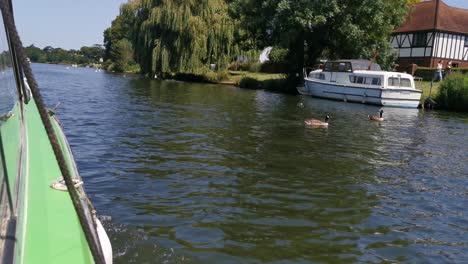 a fast moving low down shot of ducks being chased by swans in a fast moving river near london in england on the hottest day of the year, this video was shot on the sony a7sii dslr camera