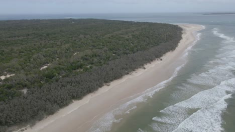 澳洲昆士蘭州北斯特拉德布洛克島 (stradbroke island) 的觀景點角 (point lookout headland) 的廣<unk>綠色森林