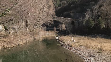 Puente-De-Piedra-Rodeado-De-árboles-Y-Agua-Corriendo-Por-Debajo,-Antena