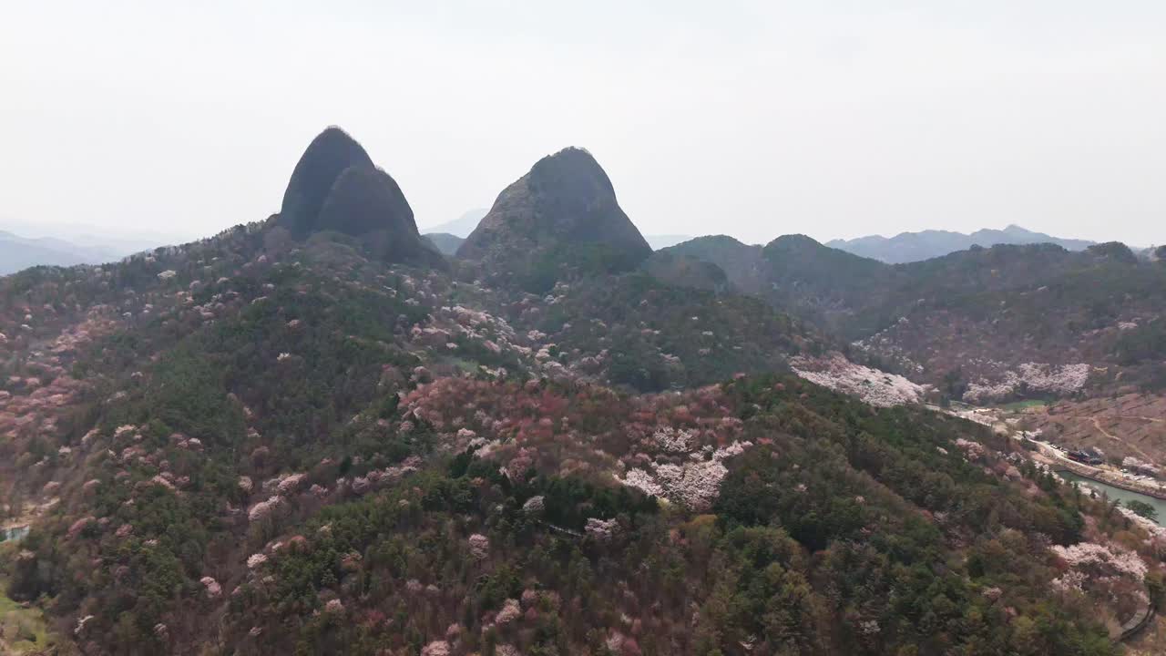 Scenic Mountain Landscape with Cherry Blossoms