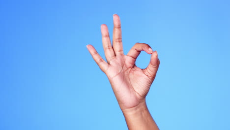 hand, perfect and okay sign by person in support