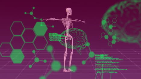 animación del procesamiento de datos sobre el cerebro y el esqueleto