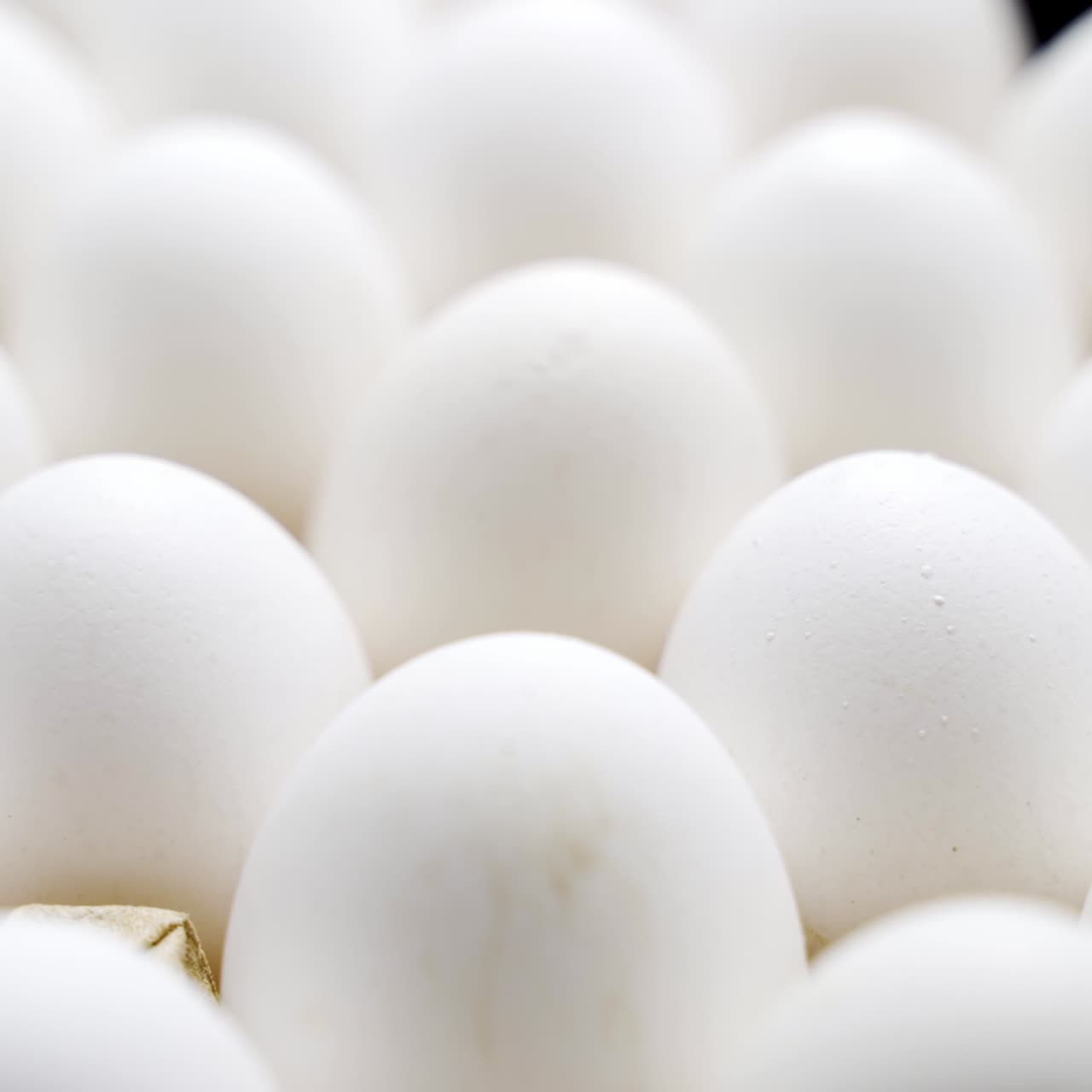 White chicken eggs in a cardboard box. Eggs in a paper tray.