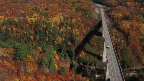 river rapids running under bridge with insane fall colors