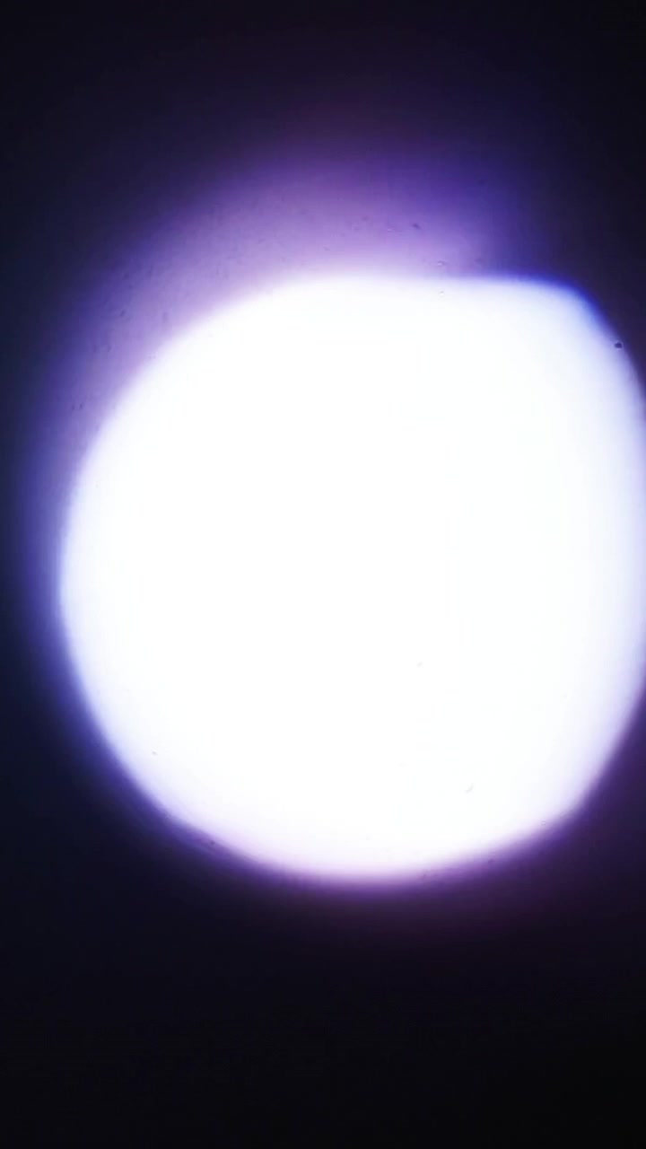Vista microscopica di un campione circolare attraverso l'obiettivo di un microscopio