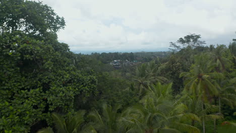 Aerial-reveal-of-a-small-rural-communities-and-irrigated-farm-paddy-fields-in-the-thick-rainforest-in-Indonesia