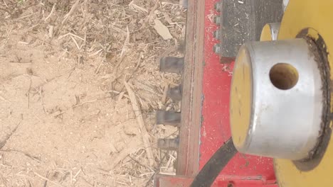 excavator trimming head chops down a tree in the forrest