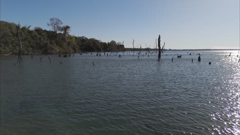 Flight-over-the-flooded-coast-of-the-river-Parana