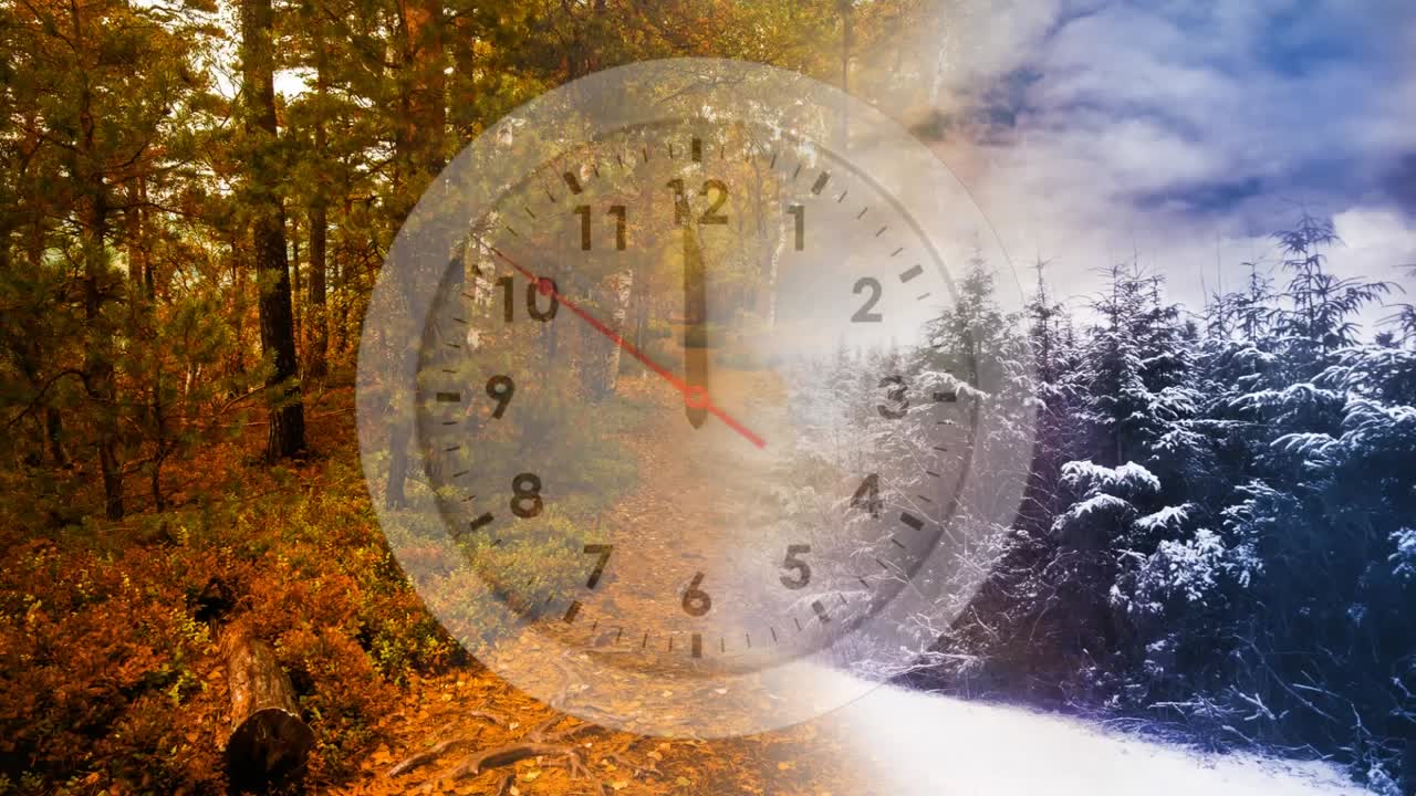 зимний и осенний сезоны, разделенные по времени