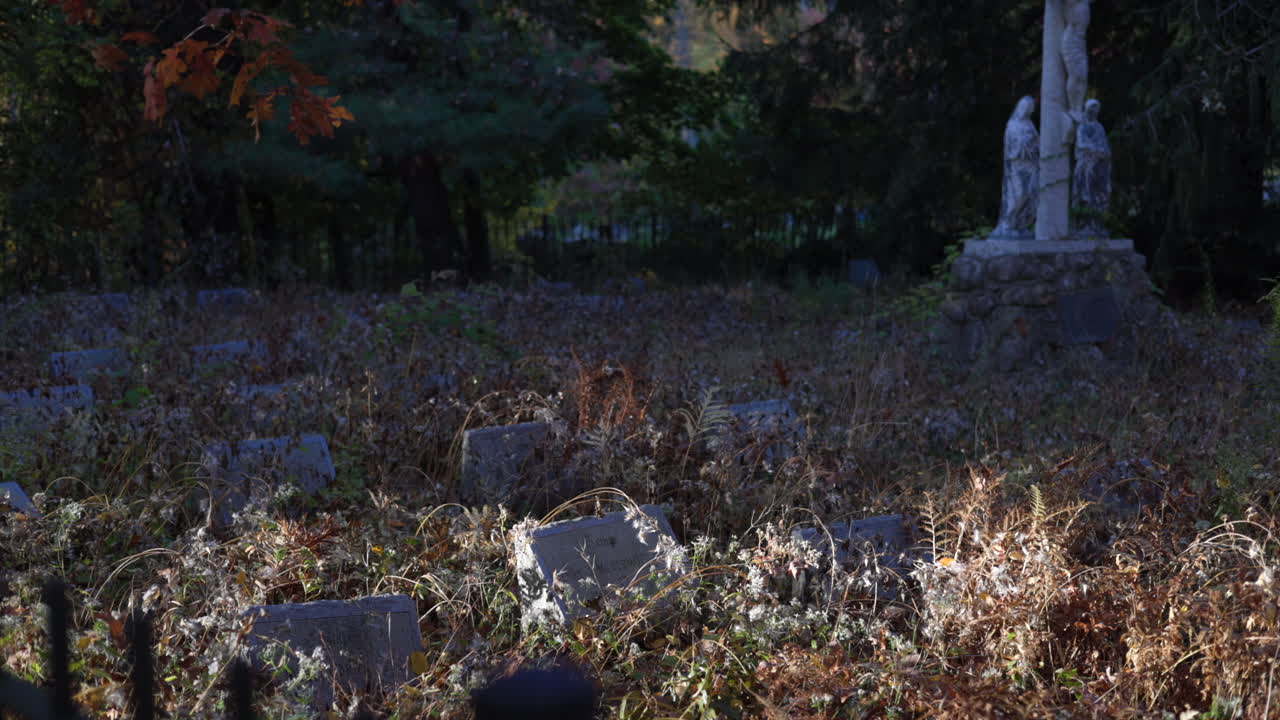 묘지 무덤 무덤 돌 느린 동작 아름다운 가을 가을 숲 빨간색, 오렌지색, 노란색 잎 아메리카