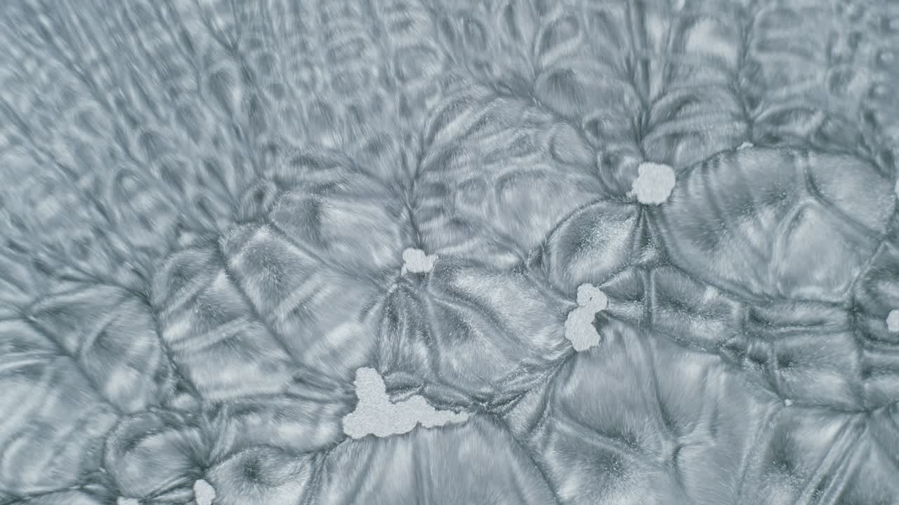 솔벤트 아세톤에서 태양 표면 과립을 시뮬레이션하는 알루미늄 분말 페인트 안료 입자 대류 운동