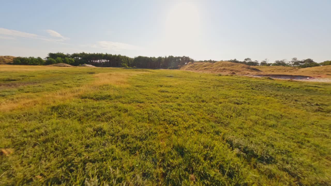 vuelo de drones fpv sobre campos amarillos y bosques en los países bajos