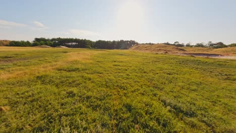 vuelo de drones fpv sobre campos amarillos y bosques en los países bajos
