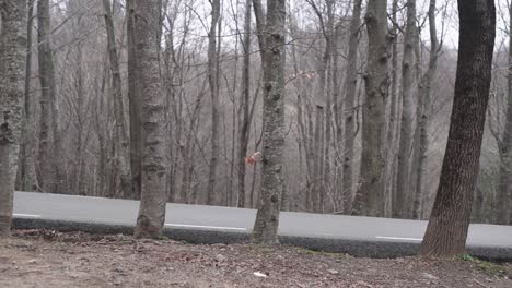 alone woman escaping from the woods of montseny spain