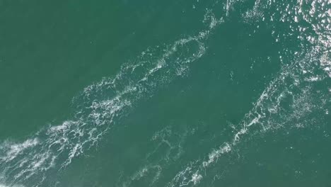 vista de arriba hacia abajo surfistas paddleboarder atrapando olas en agua clara del océano de verano