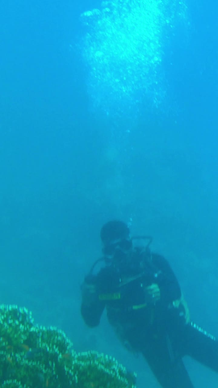 Scuba Diving in the Ocean