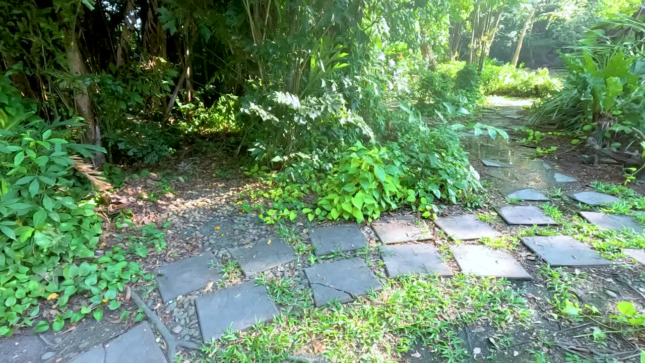A tranquil garden path surrounded by lush greenery and dappled sunlight in Bangkok's Rama IX Park