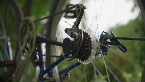 close-up of bicycle's rear wheel and gear system as the wheel briefly rotates, the chain and cogwheel are in focus, while the background of blurred greenery