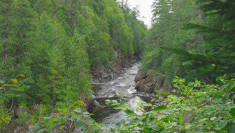 the batchawana river flowing through the rocky forest of western ontario