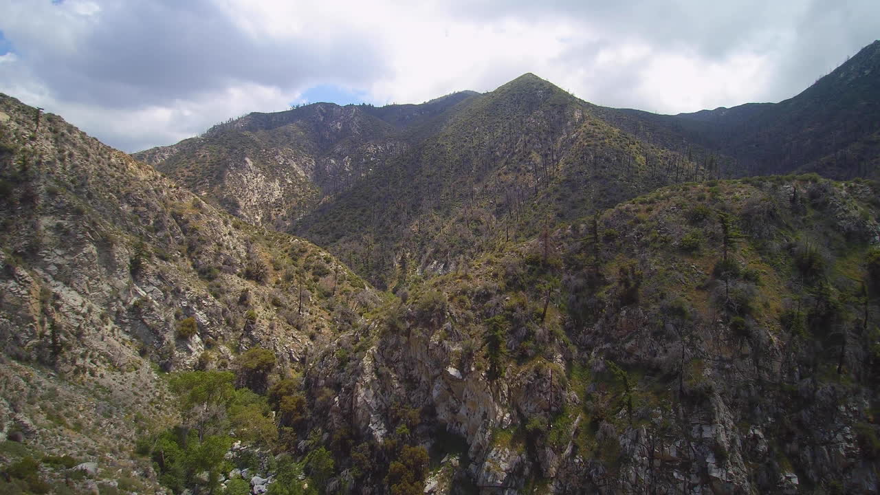 imágenes de drones del bosque nacional de angeles california