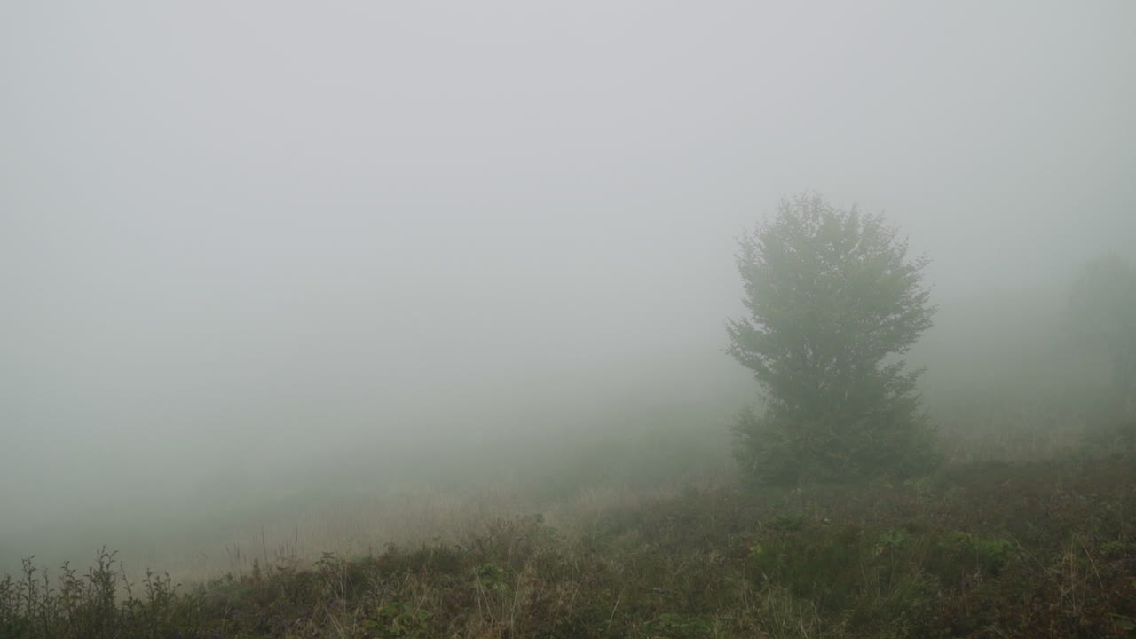 안개 가 가득 한 산악 풍경