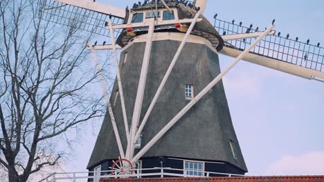 traditional windmill on a countryside with flock of birds perching against blue sky during winter